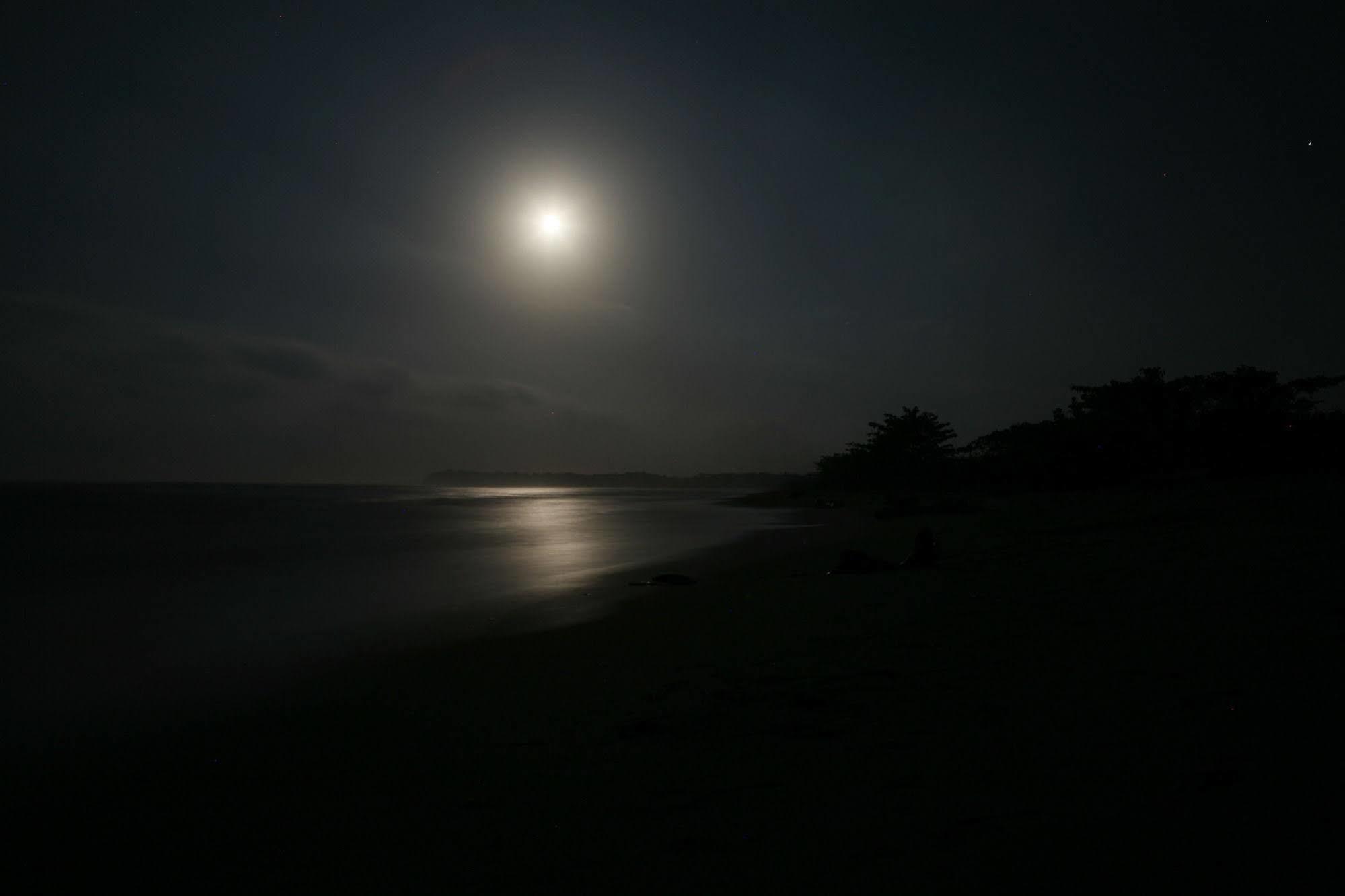Готель Playa Koralia Санта-Марта Екстер'єр фото